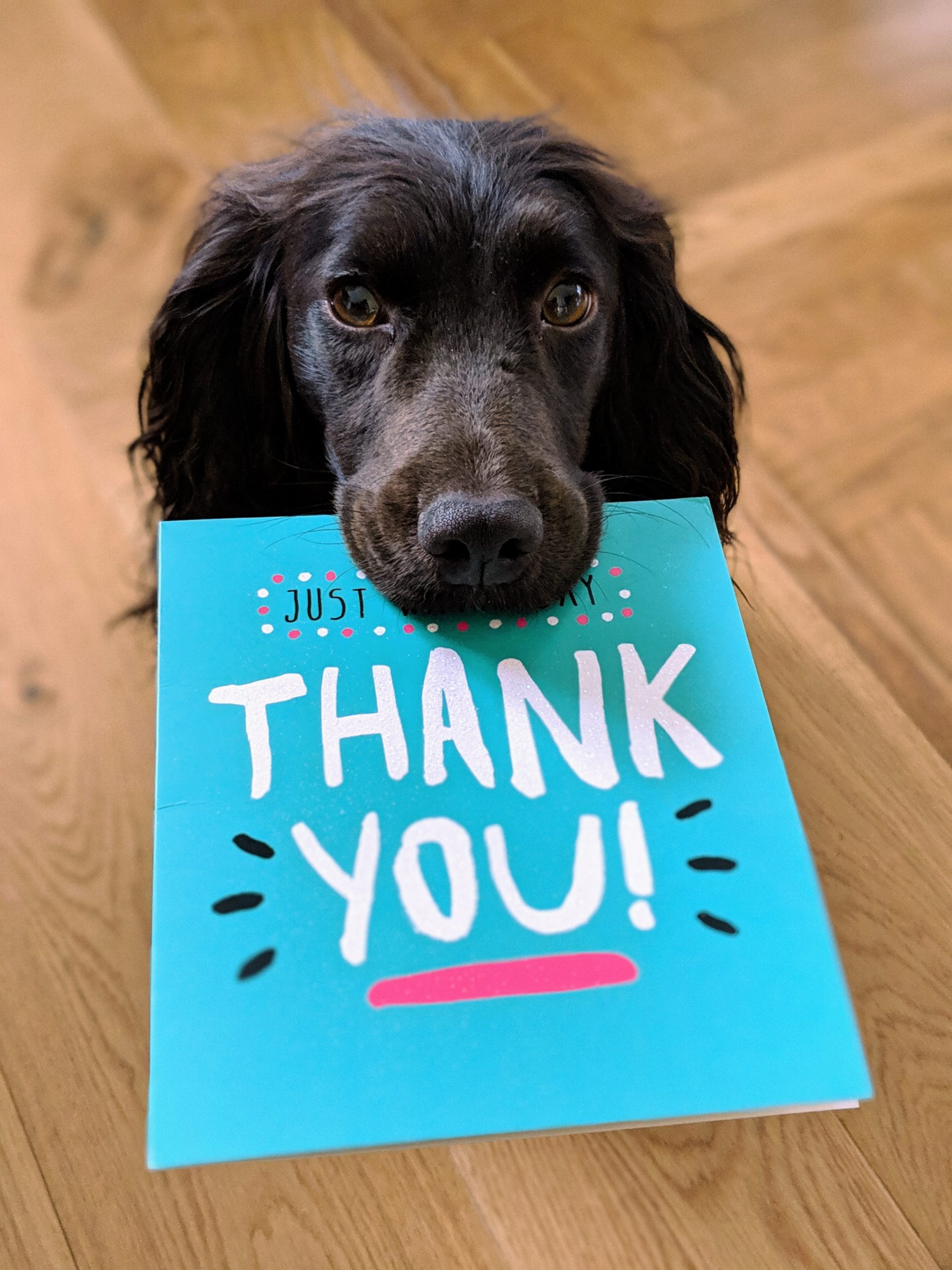 Ways To Say Thank You In Text